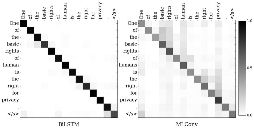 Latest Review Paper on Attention Mechanisms and Related Code