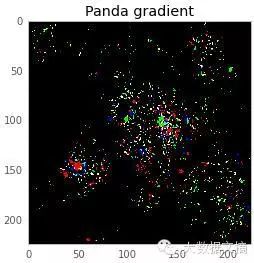 How to Deceive Neural Networks to Recognize Pandas as Vultures