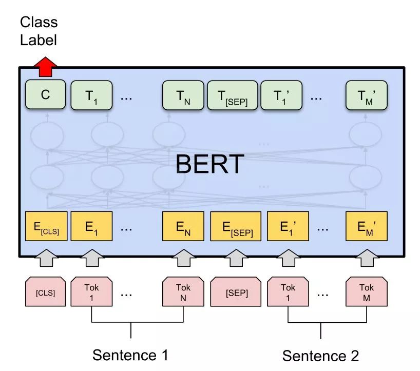 The Art of Fine-Tuning BERT