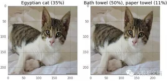 How to Deceive Neural Networks to Recognize Pandas as Vultures