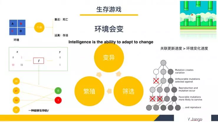 Understanding Deep Neural Network Design Principles