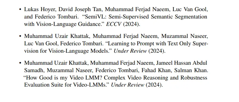 Language-Guided Open Set Computer Vision