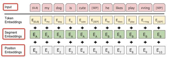 Understanding Deep Learning: From Neurons to BERT