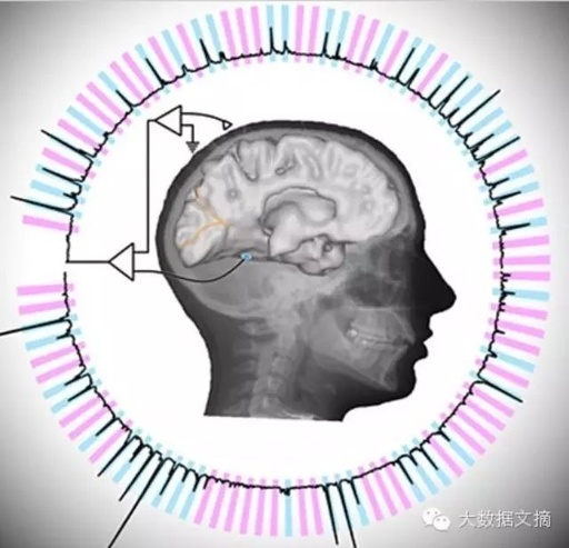 Understanding Image Recognition and Machine Learning