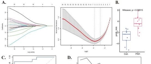 Key Gene Screening and Validation in Non-Tumor Bioinformatics