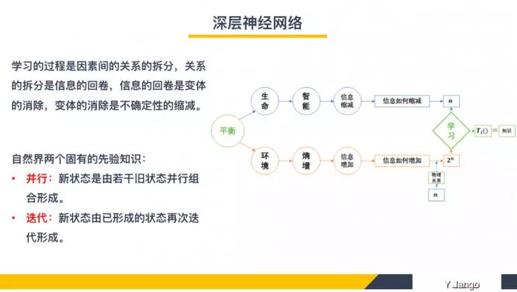 Understanding Deep Neural Network Design Principles