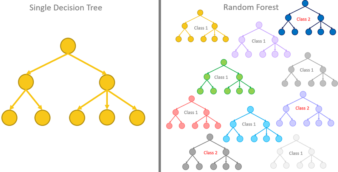 Understanding Machine Learning Algorithms