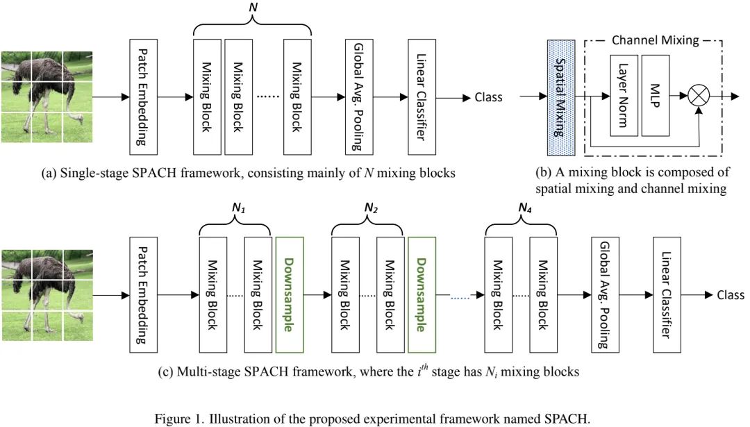 The Battle of Three Neural Network Structures: CNN, Transformer, and MLP