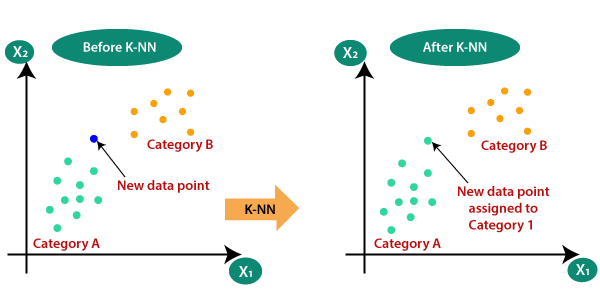 Understanding Machine Learning Algorithms