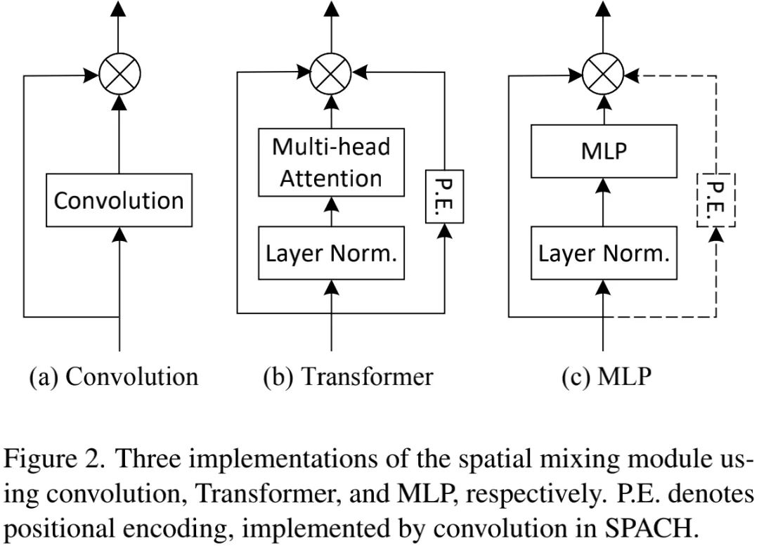 The Battle of Three Neural Network Structures: CNN, Transformer, and MLP