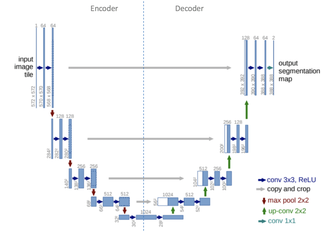 Understanding U-Net: A Comprehensive Guide to Image Segmentation