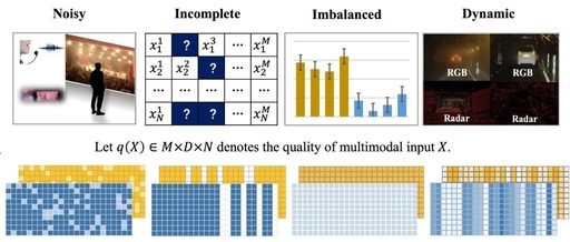 Handling Noisy Imbalanced Multimodal Data: A Review