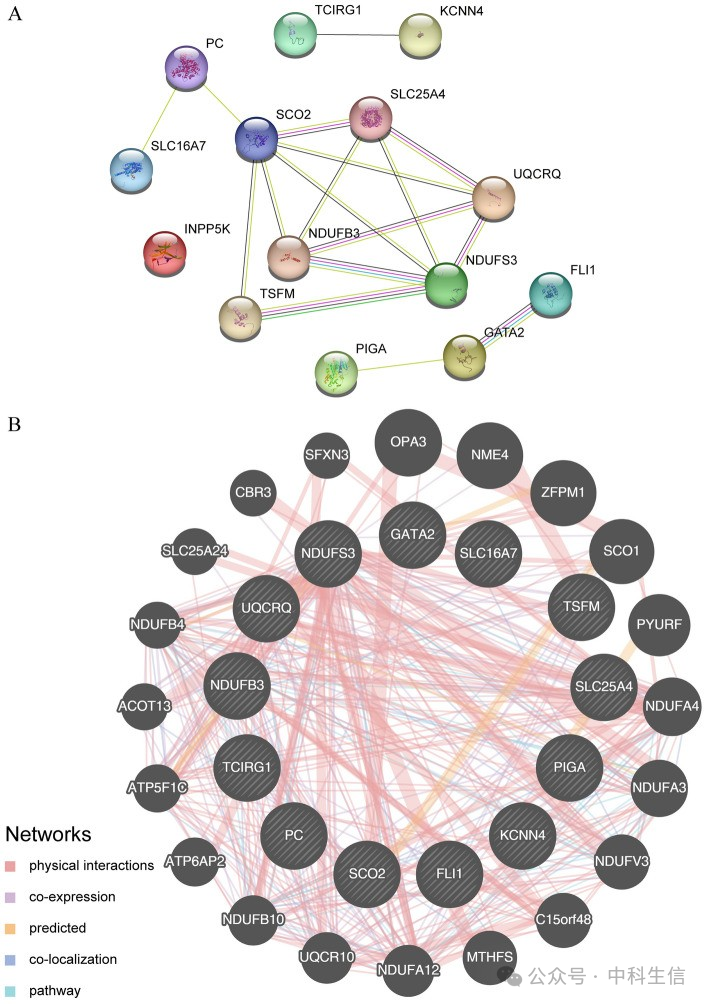 Integrating Bioinformatics and Machine Learning to Unveil Lactate Metabolism and Rheumatoid Arthritis Connection