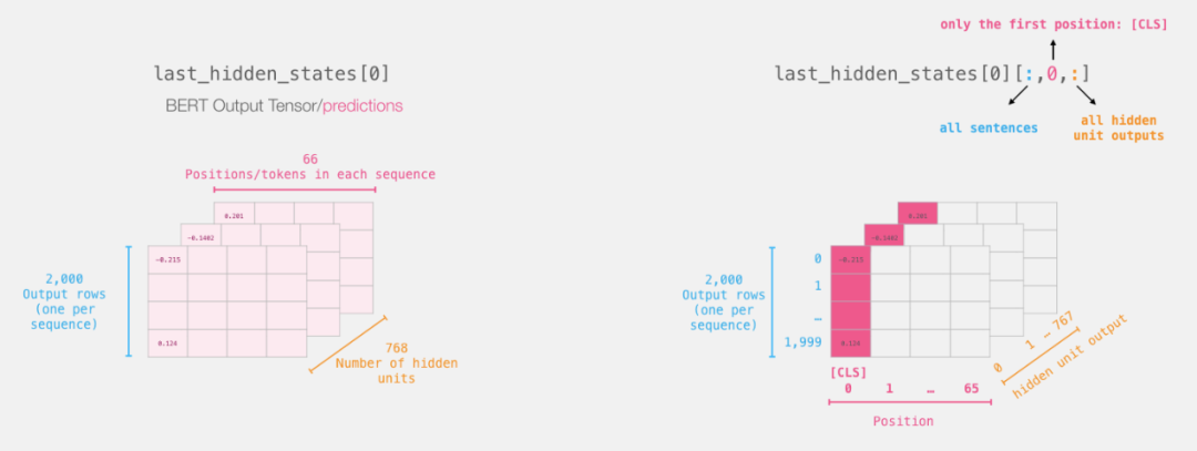 Step-By-Step Guide to Sentence Classification Using BERT