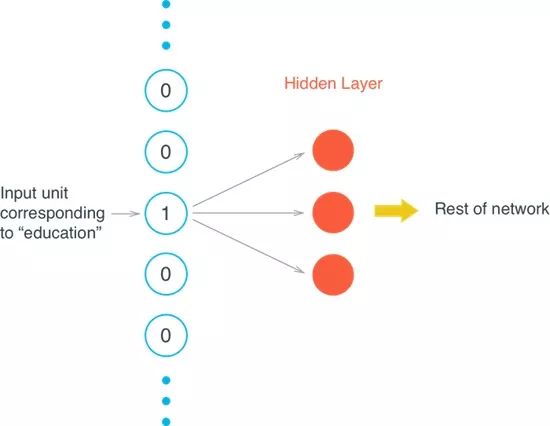 Understanding Word2Vec's Skip-Gram Model