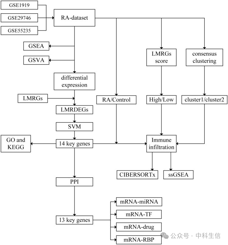 Integrating Bioinformatics and Machine Learning to Unveil Lactate Metabolism and Rheumatoid Arthritis Connection