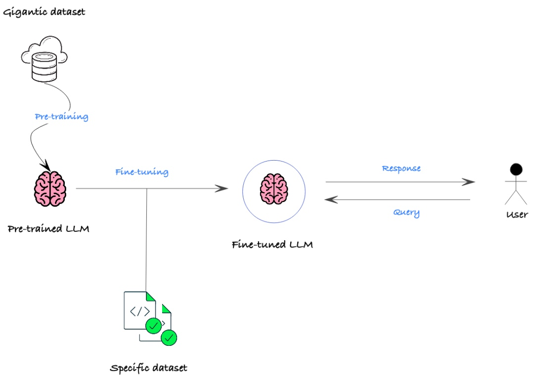 Understanding Fine-Tuning of Neural Network Models