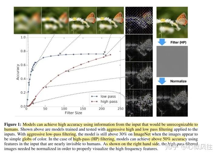 Explaining CNNs From the Frequency Domain Perspective