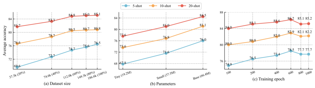 First Published Foundation Model for SAR Image Target Recognition