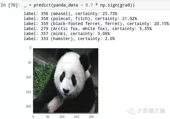 How to Deceive Neural Networks to Recognize Pandas as Vultures