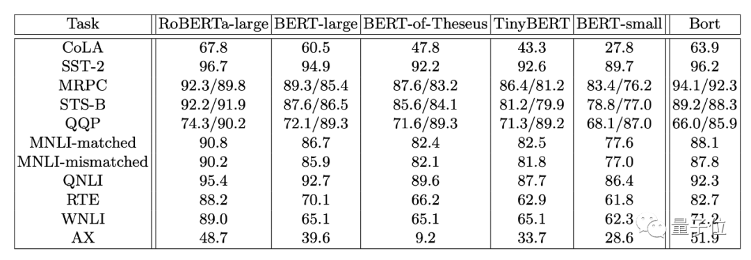 BERT Lightweight: Optimal Parameter Subset Bort at 16% Size