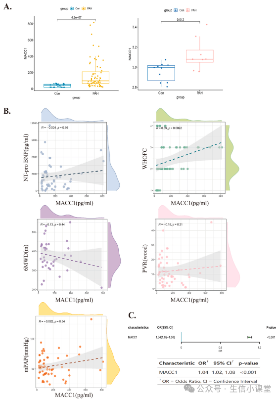 Key Gene Screening and Validation in Non-Tumor Bioinformatics