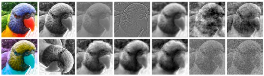 Comparative Analysis of Image Recognition Generalization: CNNs Fall Short Compared to Humans