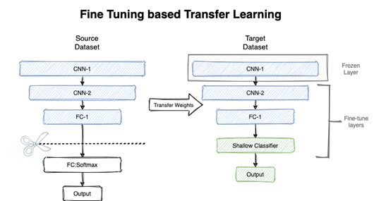 Understanding Fine-Tuning of Neural Network Models