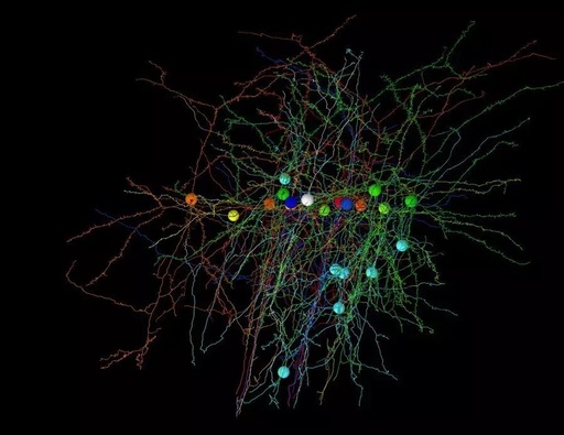 Stanford CS231N Deep Learning and Computer Vision: Neural Network Training Insights