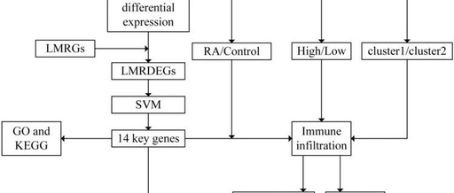 Integrating Bioinformatics and Machine Learning to Unveil Lactate Metabolism and Rheumatoid Arthritis Connection