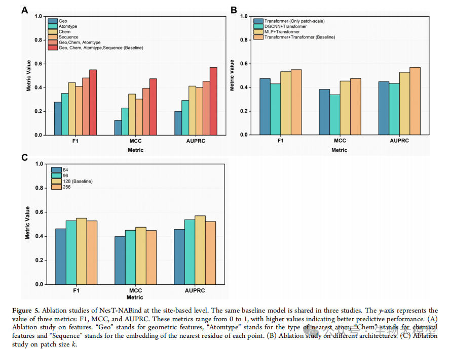 Innovative Application of Nested Transformer Model in Protein-Nucleic Acid Binding Site Prediction