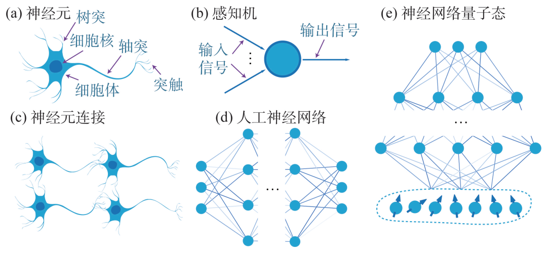 Neural Network Quantum States and Their Applications