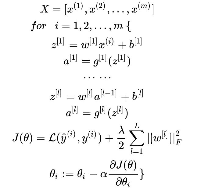 Optimizing Neural Networks: Techniques and Methods