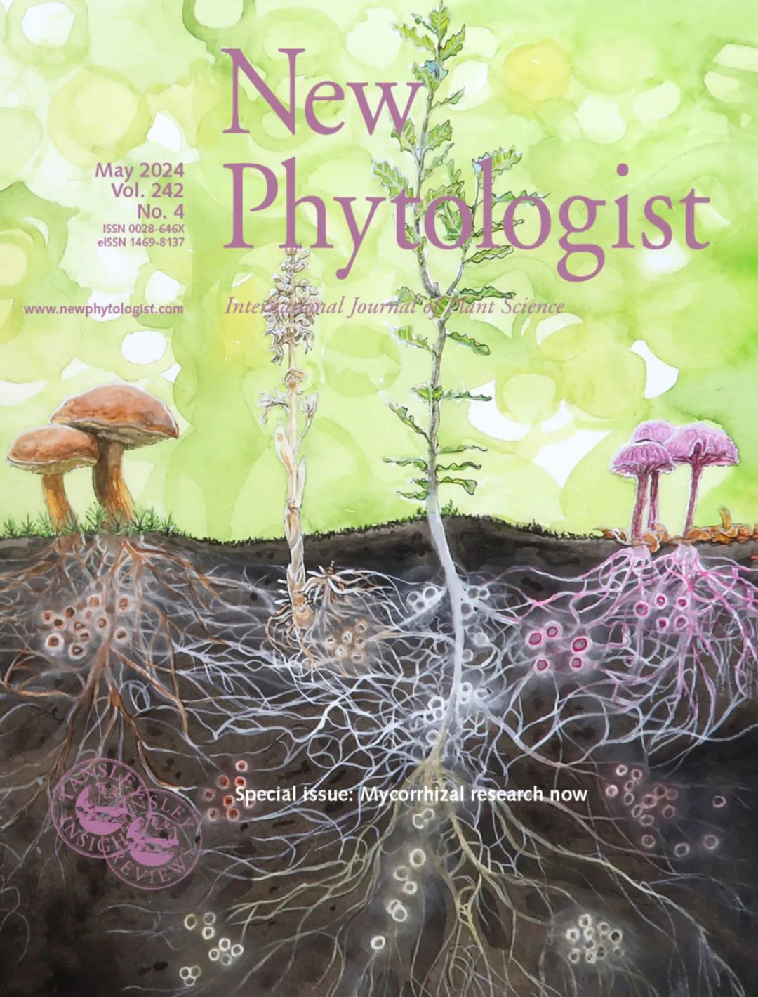 Current Status of Mycorrhizal Research: From Micro to Macro