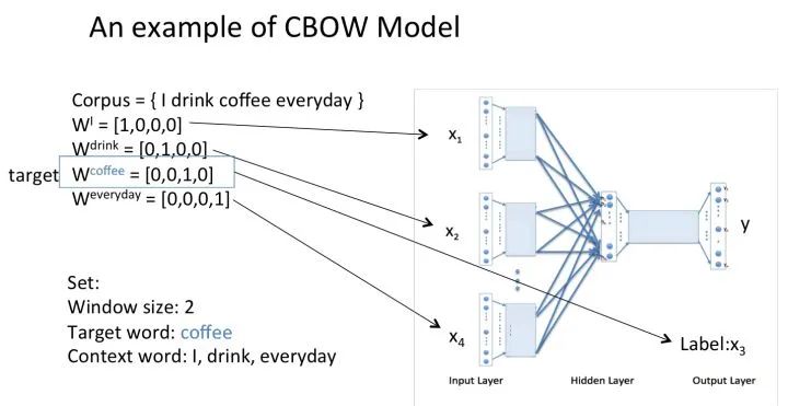 How Word2Vec Generates Word Vectors