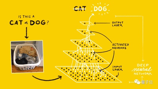 Quick Start Guide to Building an Image Recognition System with TensorFlow