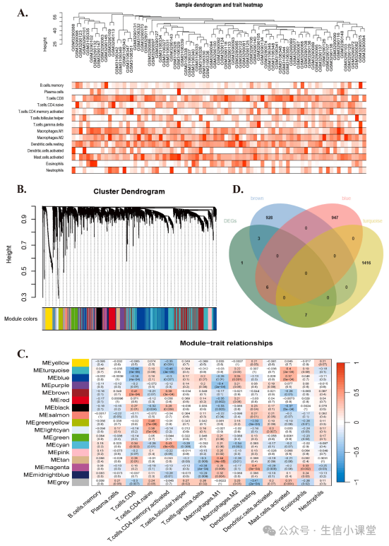 Key Gene Screening and Validation in Non-Tumor Bioinformatics