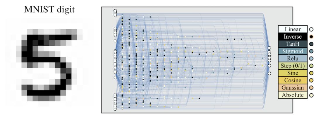 Weight Agnostic Neural Networks: A Revolutionary Approach