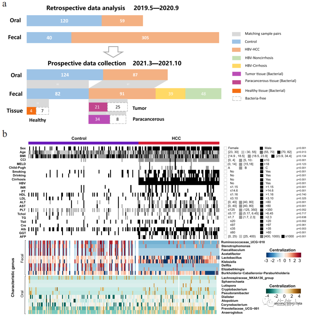 Exploring New Pathways Between Gut Microbiota and Disease: Machine Learning Applications