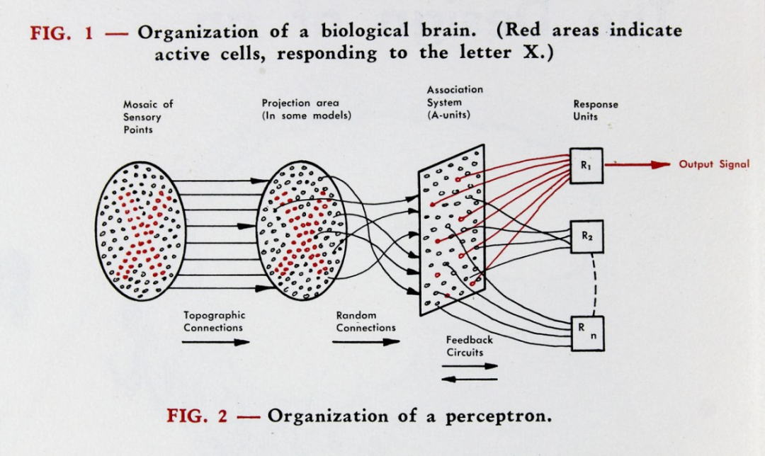 The Rise and Fall of Neural Networks in AI