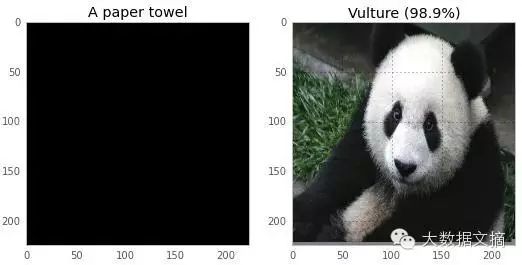 How to Deceive Neural Networks to Recognize Pandas as Vultures