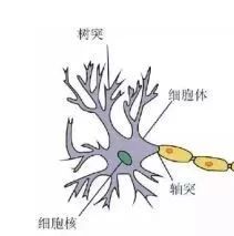 AI Introduction to BP Neural Network Algorithm Derivation and Implementation