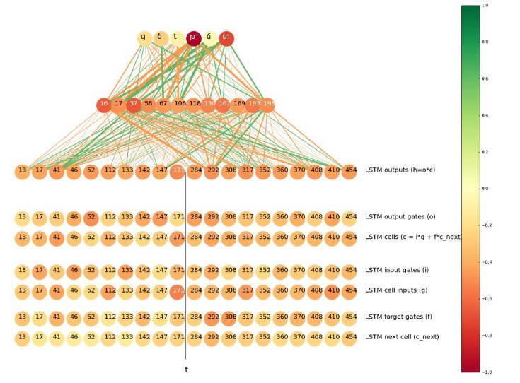 Understanding Neurons in LSTM Networks from Task to Visualization