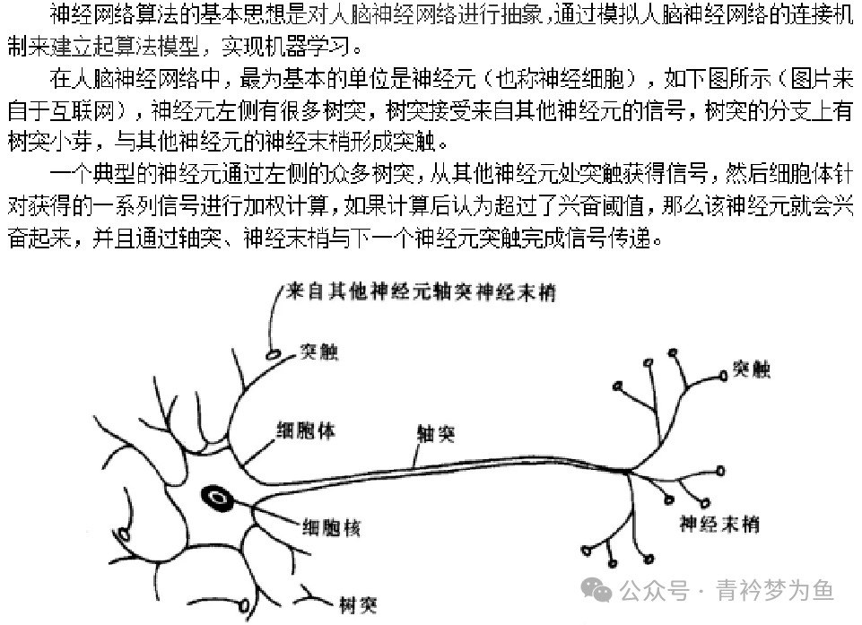 Neural Network Algorithms Explained