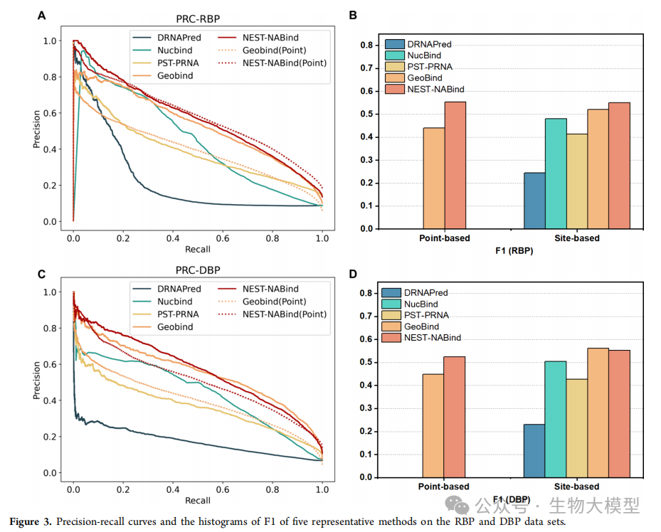 Innovative Application of Nested Transformer Model in Protein-Nucleic Acid Binding Site Prediction