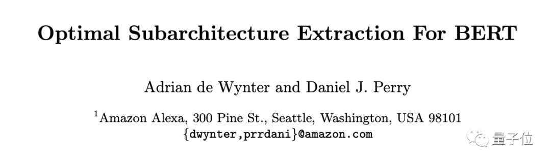 BERT Lightweight: Optimal Parameter Subset Bort at 16% Size