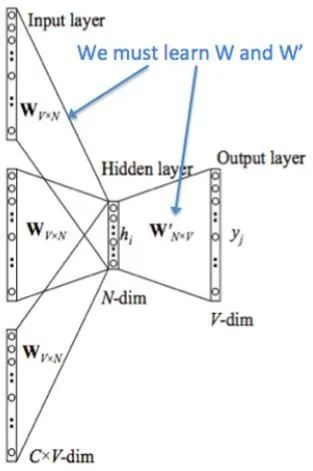 How Word2Vec Generates Word Vectors