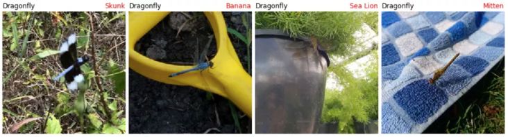 AI Image Recognition Meets Adversarial Images