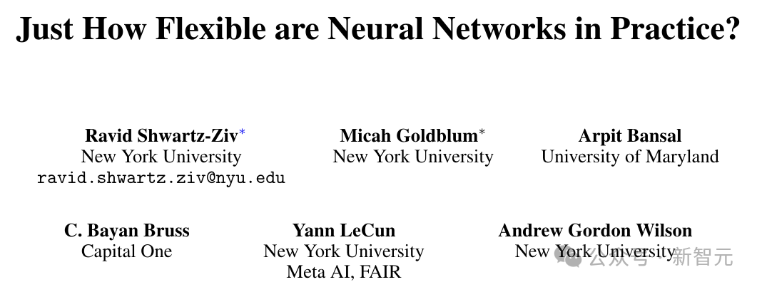 How Flexible Are Neural Networks in Practice?