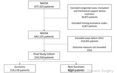 Risk Prediction Score for 30-Day Mortality After Adult Cardiac Surgery Based on Machine Learning Algorithms